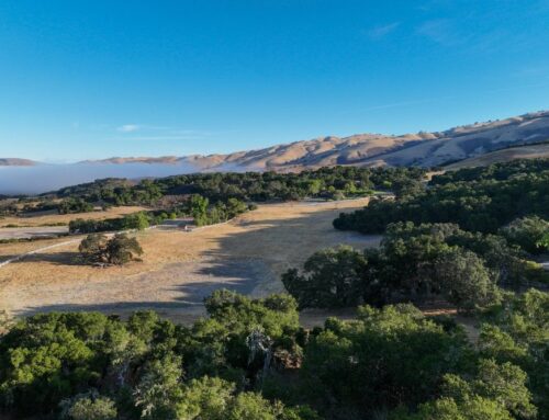 Brake Repair Services in Carmel Valley, CA