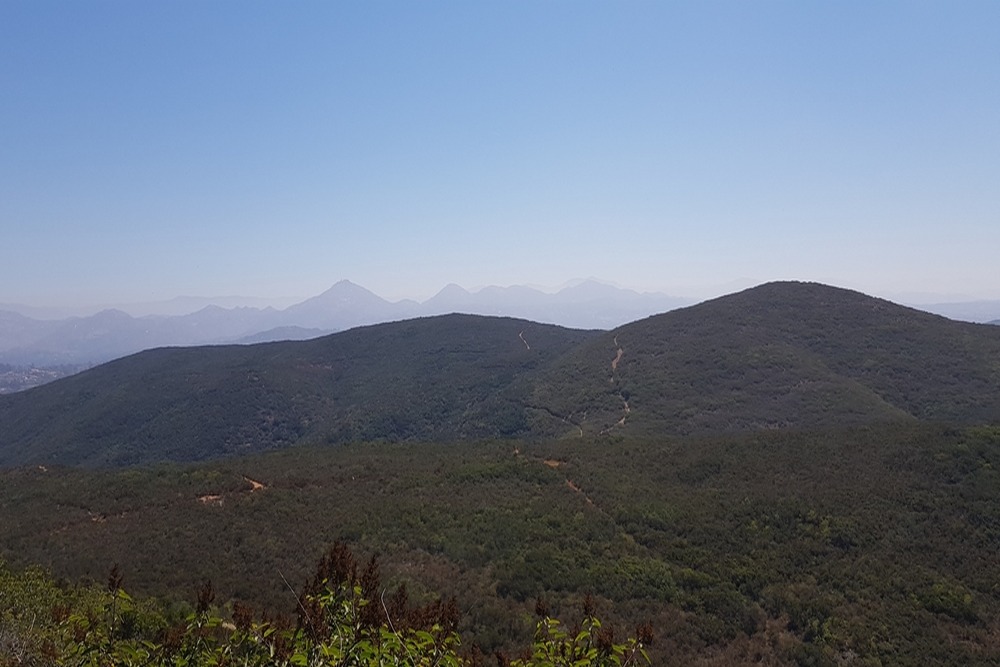 Oil Change Services in Black Mountain, CA