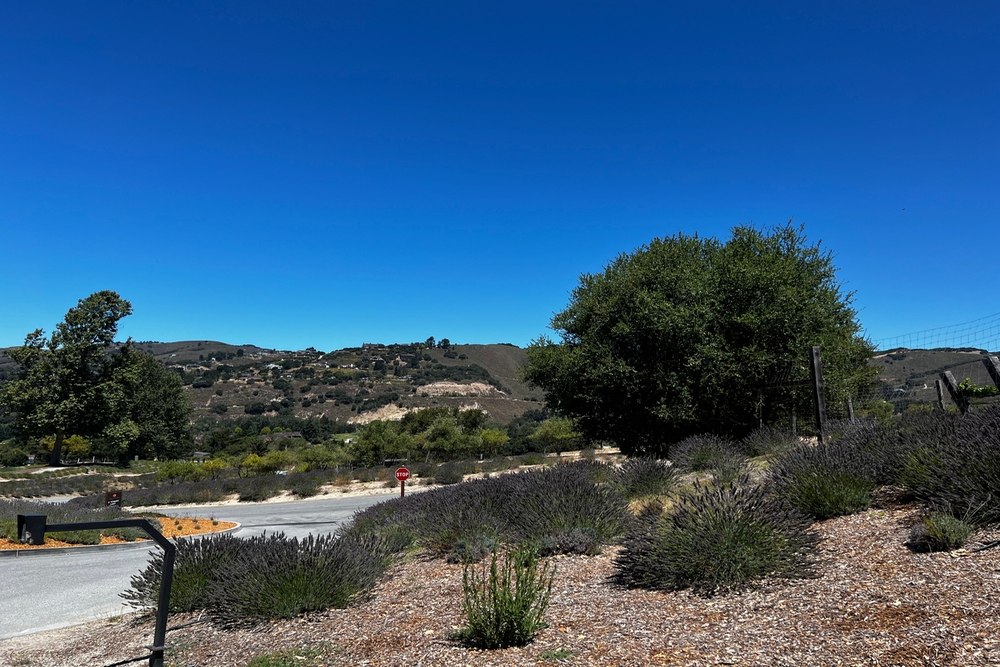 Reliable Brake Repair Services in Carmel Valley Ranch, CA