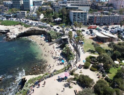 Battery Replacement Services in La Jolla Cove, CA