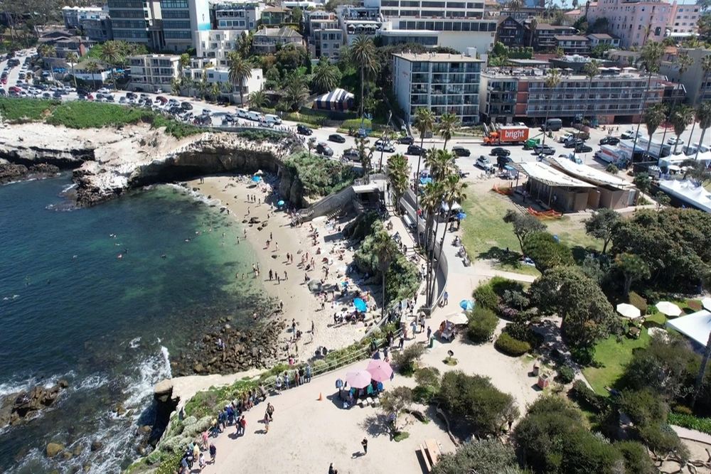 Battery Replacement Services in La Jolla Cove, CA