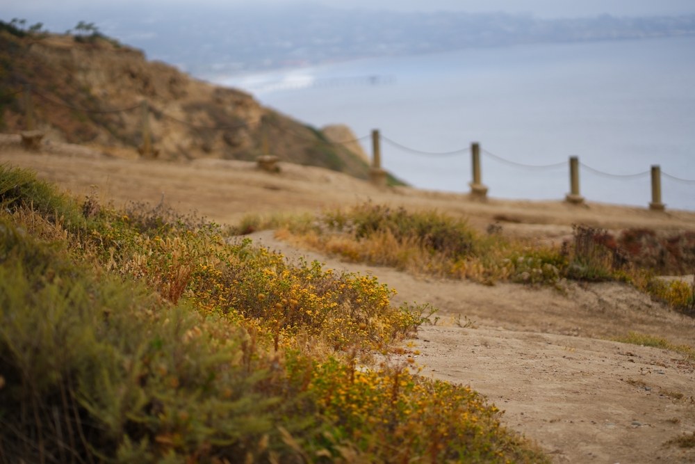 Brake Repair Services in Golden Hill, CA