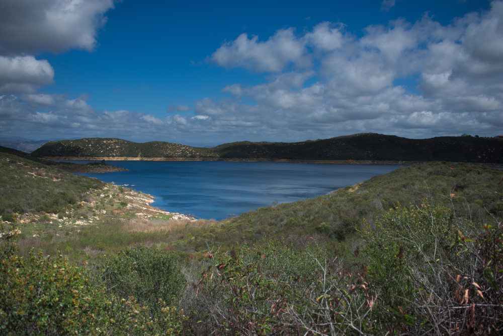Tire Replacement Services in Olivenhain, CA