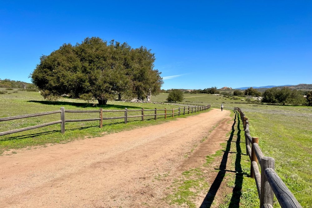 Tire Replacement Services in Ramona, CA