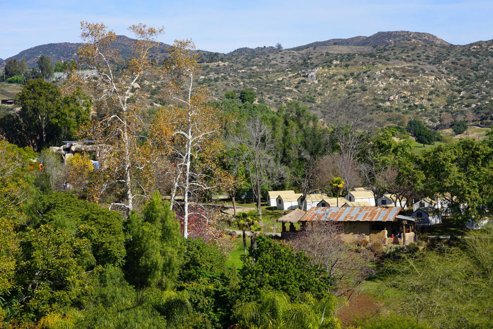 Tire Replacement Services in San Pasqual Valley, CA