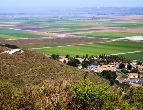 Reliable Brake Repair Services in Heritage Villas, CA