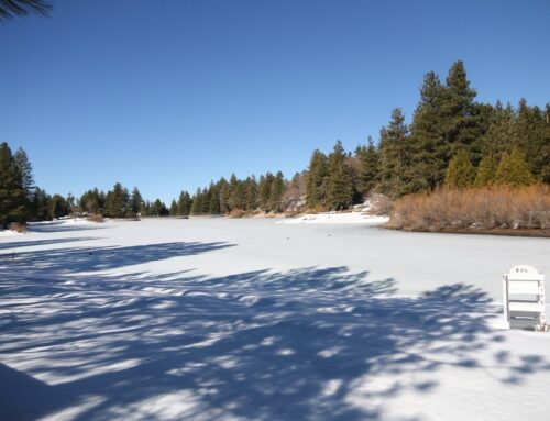 Smog Check Services in Green Valley, CA
