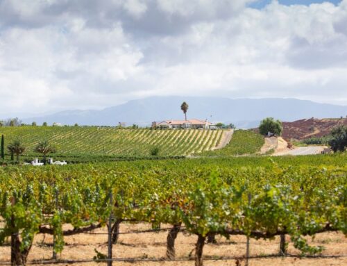 Smog Check Services in High Valley, CA