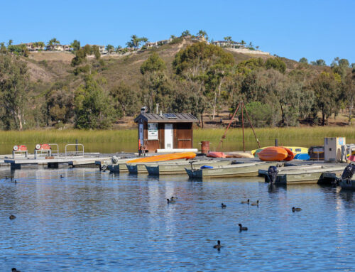 Transmission Repair Services in Lake Miramar Area, CA