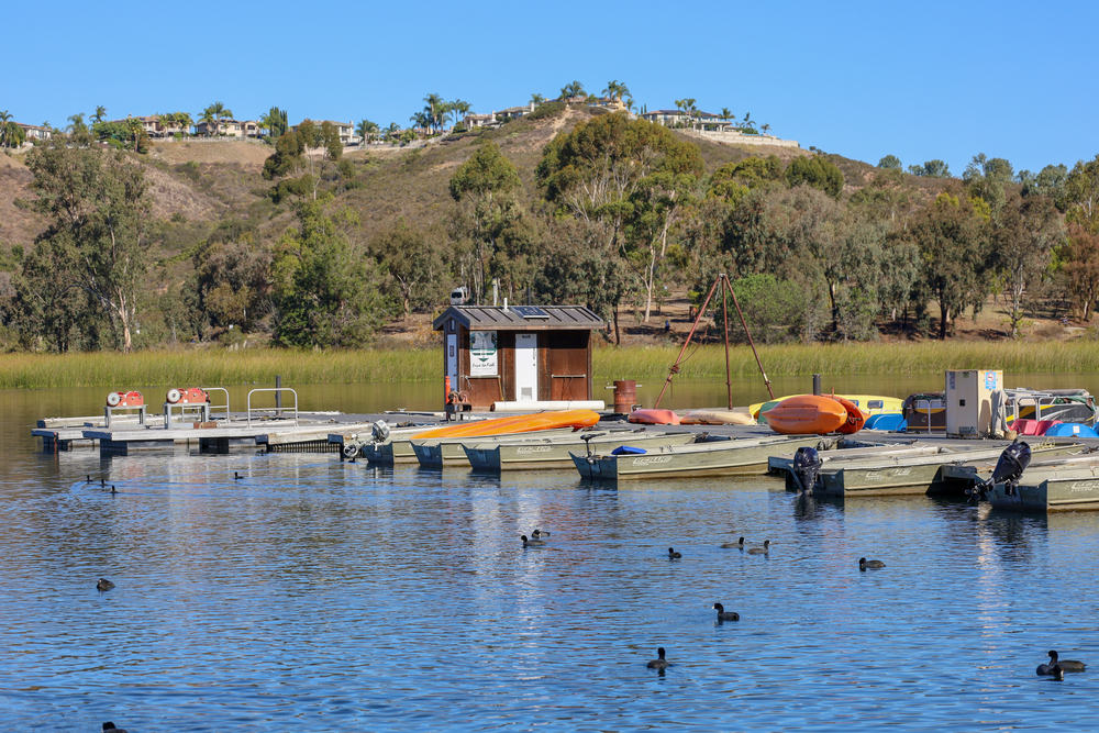 Transmission Repair Services in Lake Miramar Area, CA