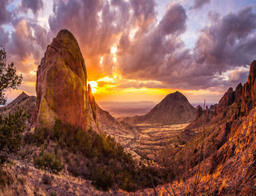 Transmission Repair Services in Ravenna, CA